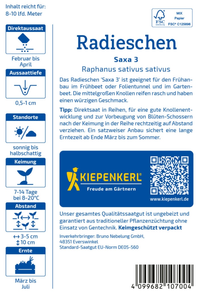 Radieschen Saxa 3 – Bild 2