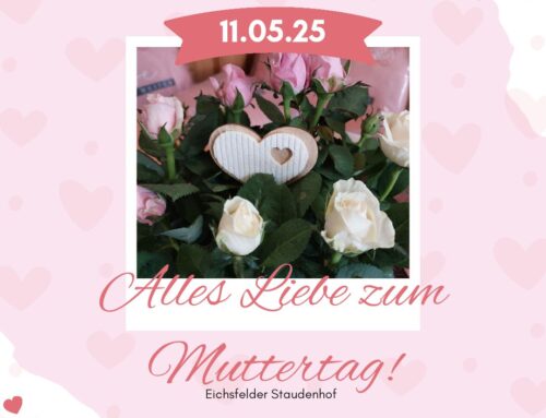Bist du auf der Suche nach dem perfekten Geschenk für deine Mama zum Muttertag? Wir haben es für dich! 🎁
