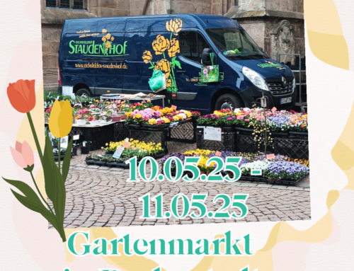 Besuchen Sie uns in Duderstadt!