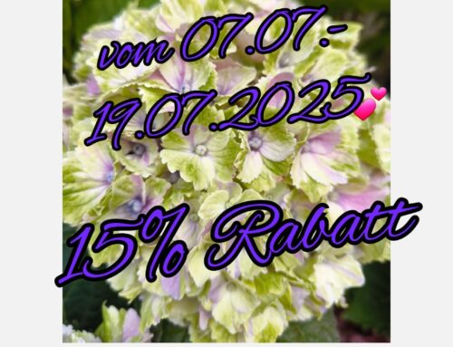 Hortensienwochen vom 07.07.25 bis 19.07.2025!