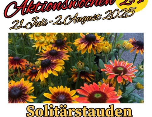 Solitärstauden sind im Angebot. Vom 21.07.2025 bis zum 02.08.2025 gilt: 2 kaufen, 1 gratis dazu.