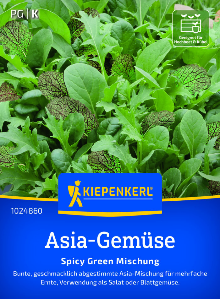 Salatsamen Asia Spicy Green Mix